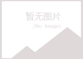 大悟县夜山能源有限公司